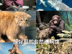 -国家自然博物馆