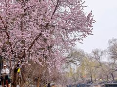 -安定门(地铁站)