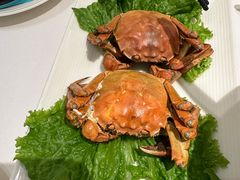 -莆田餐厅PUTIEN(金融街购物中心店)