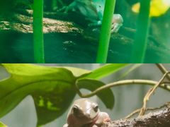 -上海大自然野生昆虫馆(东方明珠·爬宠昆虫探索中心)