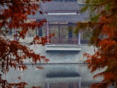 -重庆彩云湖湿地公园
