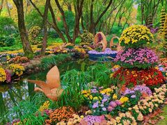 -上海共青森林公园