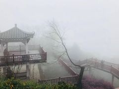 -广州市石门国家森林公园