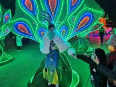 -郑州方特梦幻王国