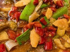 -蜀阳餐厅·金牌水煮鱼