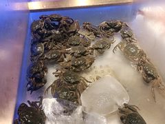 -诱货海鲜自助火锅(爱琴海购物公园东百店)