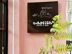 -深圳湾万象城(南山店)