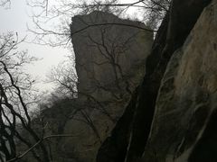 -北京鹫峰国家森林公园