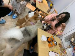 -汪说·狗咖(旺城大厦店)