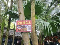 -土砂锅生态山庄·非遗砂锅雅鱼