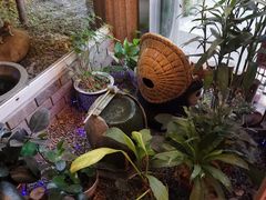 -古都梅按摩足浴(世界广场店)