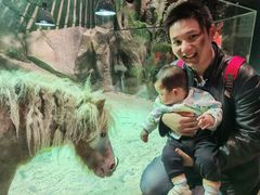 -zoonana室内动物园(东方福来德店)