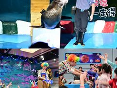 -顺德南宏海立方海洋公园