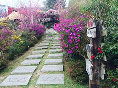 iphone_upload_pic-优游吧斯邹族文化部落