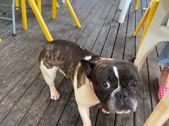 -丰收渔港饭店(嵊泗店)