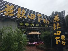 -蘑统田下·野生菌火锅