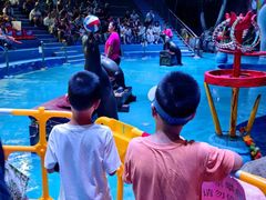 -烟台海昌鲸鲨海洋公园