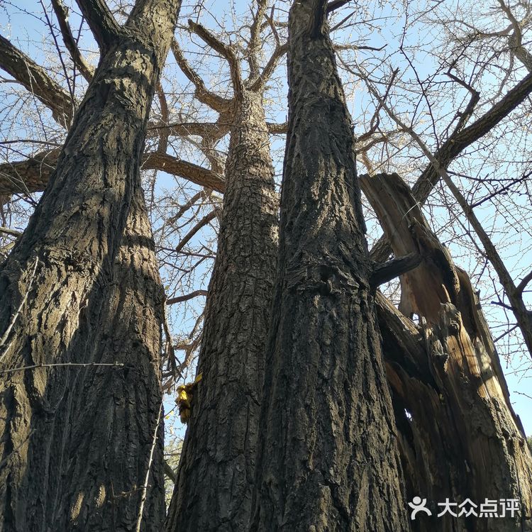 京西古刹八大处