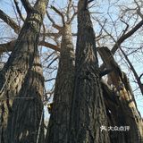 京西古刹八大处
