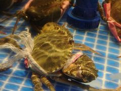 -海立阁海鲜江浙菜(漕河泾印象城店)
