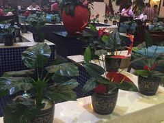 -钓鱼岛洗浴休闲会馆(卫星路店)