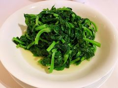 豌豆尖-利苑酒家(金宝店)