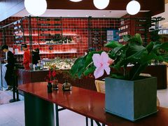 大堂-Toris(LuOne凯德晶萃广场店)