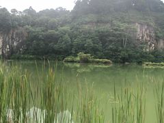 -武吉知马自然保护区