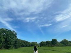 -上海都市菜园