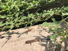 -碓臼峪自然风景区