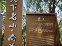 -丰都鬼城名山景区