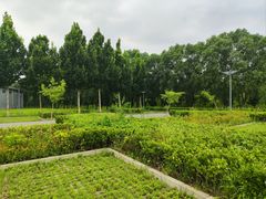 -东升八家郊野公园