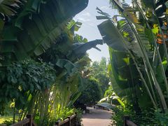 -金鸡岭桥头公园