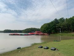 -上海海湾国家森林公园