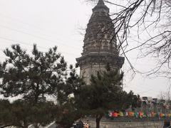 -云岗森林公园