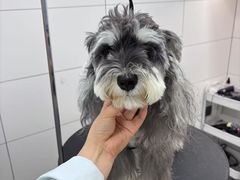 -帕帕拉兹宠物(亚洲旗舰店)