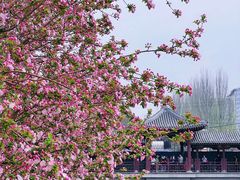 -元大都城垣遗址公园
