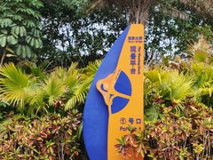 -演武大桥观景平台