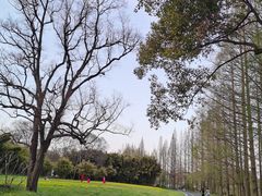 -采石矶景区