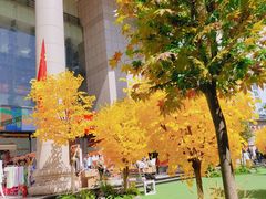-西北轻工批发市场