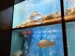 -珍宝海鲜JUMBO Seafood(尚嘉店)
