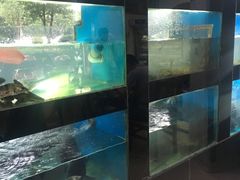 -全乐鱼馆·淳牌有机鱼直营店