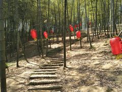 -宁波浙东大竹海景区