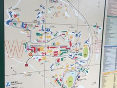 -大埔公路-马料水段香港中文大学(公交站)