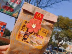 -麦当劳(塔园路店)