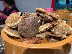 -龍歌自助小火锅(市北和达中心城店)