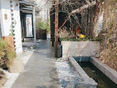 -汤宴·参须肚包鸡(南京路店)