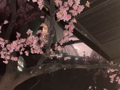 -荷塘秋月·本帮江浙菜(国权路店)