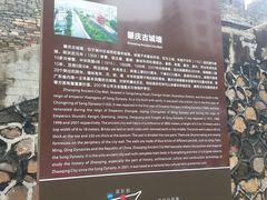 -肇庆古城墙