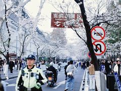 -好一朵茉莉花(老门东店)